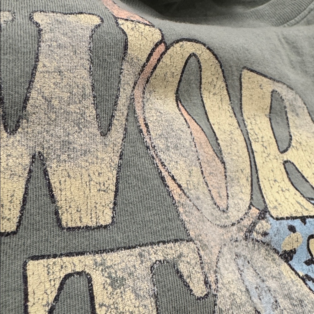Vintage Worn Look World Tour Graphic Tee - Muted Light Green Tshirt - Picture 15 of 16